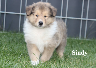 Sindy - 5./6. Woche